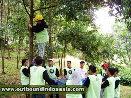 contoh permainan outbound team building,game outbound team building,games outbound untuk team building,harga outbound team building,harga paket outbound team building,jenis permainan outbound team building,materi outbound team building,outbound activities for team building,outbound dan team building,outbound games for team building,outbound learning team building,outbound team building,outbound team building games,outbound team building program,outbound team building training,outbound training team building programs,paket outbound team building,perbedaan outbound dan team building,permainan outbound team building,proposal outbound team building